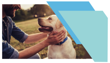 General Template Animal 768x445 01