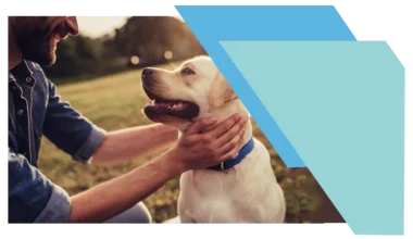 General Template Animal 768x445 01
