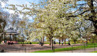 Spring Into Engagement Blog