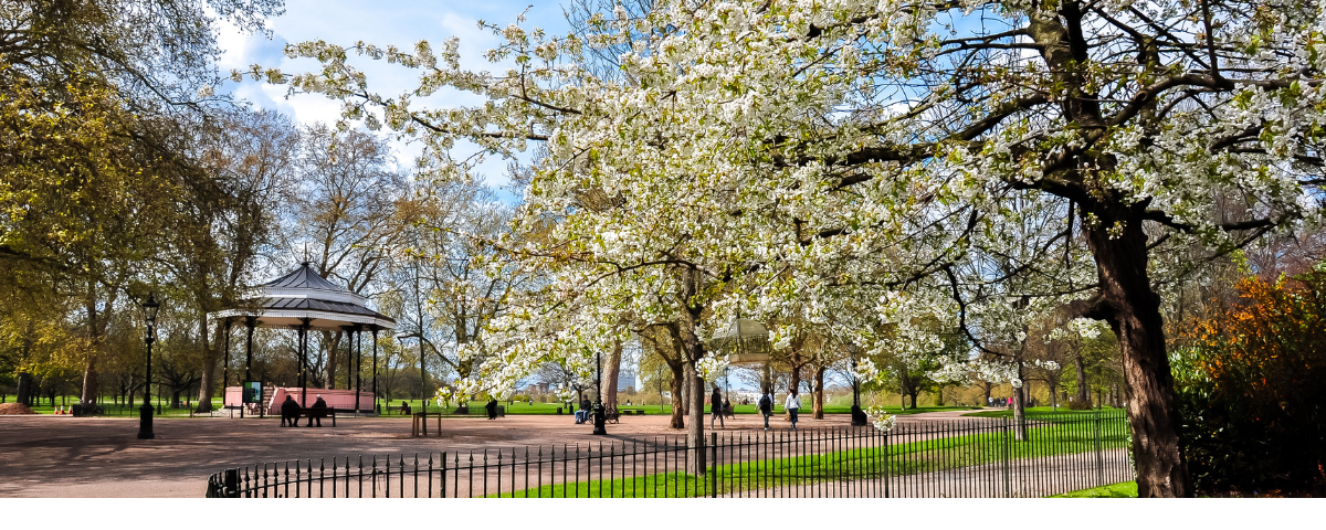 Spring Into Engagement Blog